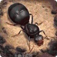 The Outlived游戏