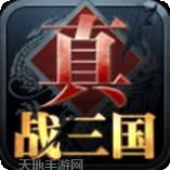 真战三国