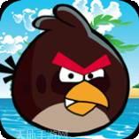 丛林鸟大冒险宝贝原生