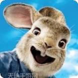 彼得兔花园