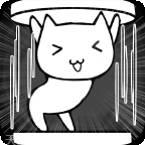 猫咪日记
