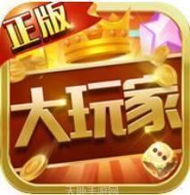 大玩家联盟