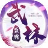 武林盛典九游版