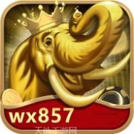 wx857棋牌