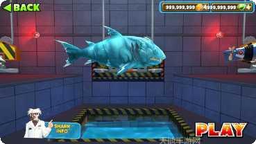 饥饿鲨进化无限钻石金币下载