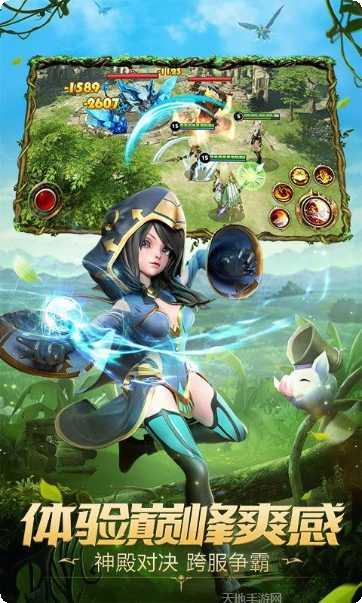 裁决王座职业选择