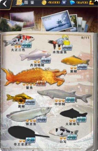 世界钓鱼之旅技巧分享