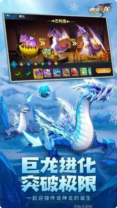 遇见龙角色培养