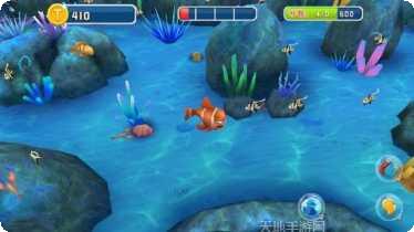 五龙捕鱼游戏技巧