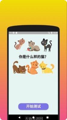 你是什么样的猫游戏攻略
