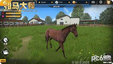相马大师攻略