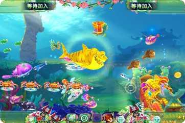 鸿福国际玩家交流