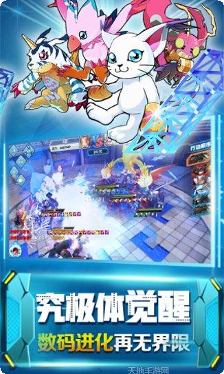 究极进化技能搭配