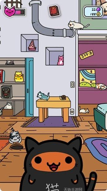 小偷猫猫道具使用技巧
