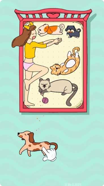 狗狗快上床下载