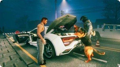 边境警察巡逻模拟器ios