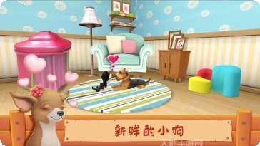 狗狗家园宠物养成