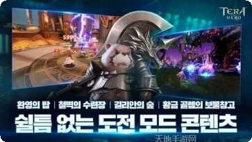Tera Hero技能搭配