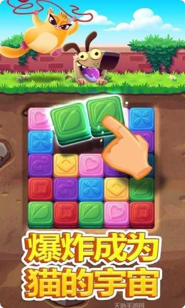 猫咪爱情故事最新版本
