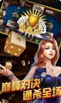 二张棋牌最新版本