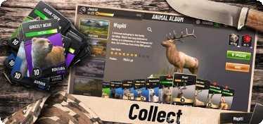 狩猎冲突角色推荐