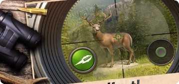 狩猎冲突新手教程