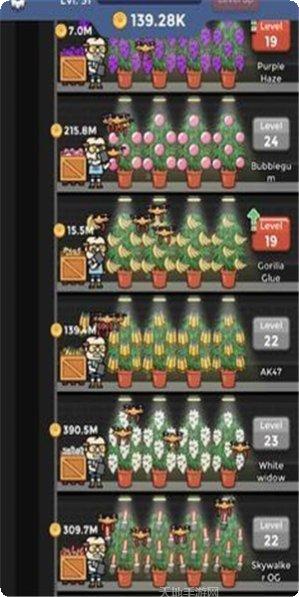 闲置杂草工厂游戏攻略