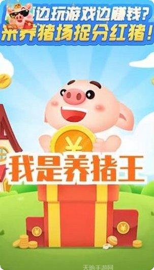 我是养蜂达人玩法