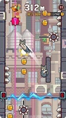 猫咪跳跃高分秘诀