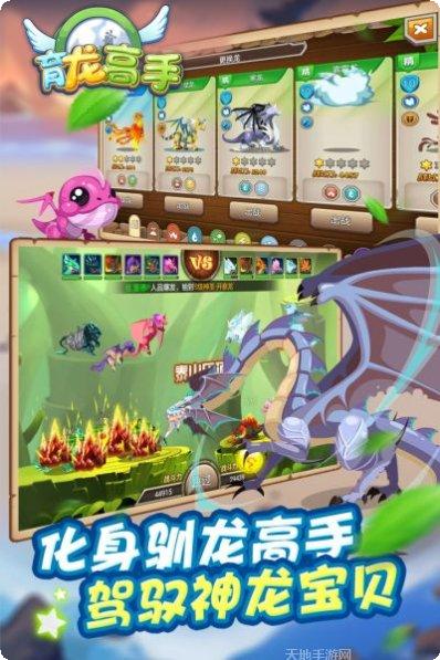 育龙高手宠物养成