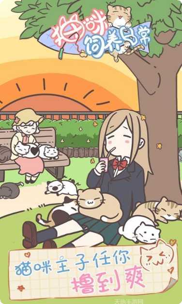 猫咪饲养日常任务