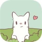 猫和汤