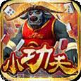 功夫牛棋牌