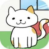 我的猫咪日记