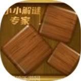 小小解谜专家