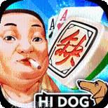 哈狗义乌麻将