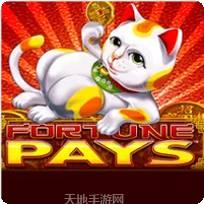 招财进宝棋牌
