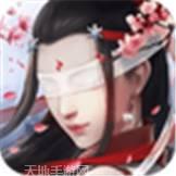 武布天下BT送V送真充
