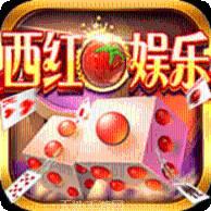 西红柿电玩