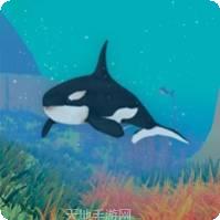 野生动物之非洲