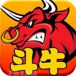 大漠斗牛王