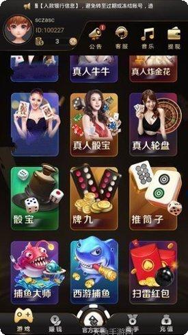 中玩牛牛游戏技巧