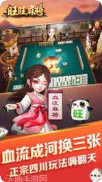旺旺南平麻将下载