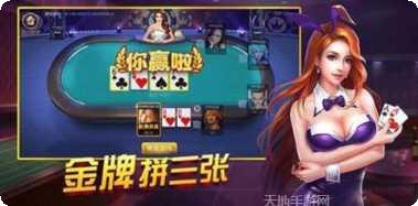 天天自摸棋牌安卓版