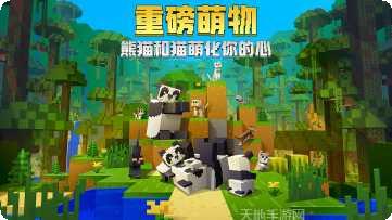 我的熊猫世界玩法介绍