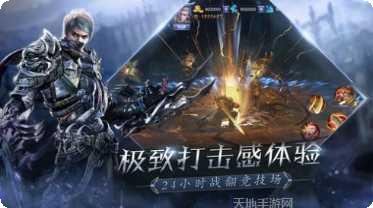 光明圣殿角色介绍