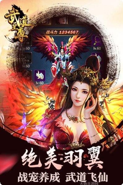 武道至尊游戏攻略