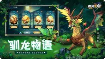 遇见龙龙族决战角色推荐
