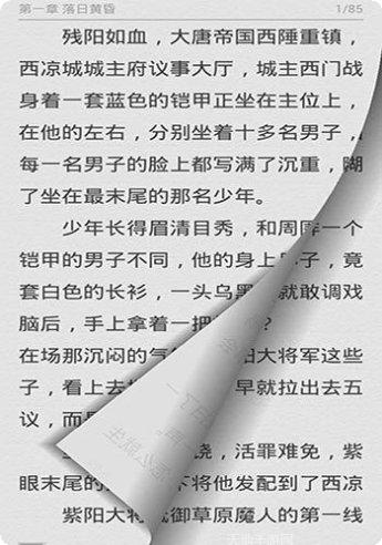 轮回之希装备搭配