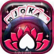 315网络棋牌